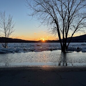 Fundraising Page: Holly White